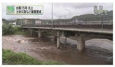 /자료=일본 NHK 홈페이지 캡처