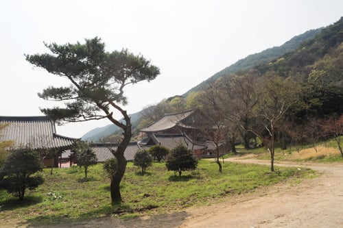 화엄사 구충암 가는 길.