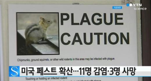 '미국 페스트' /사진=YTN뉴스 캡처
