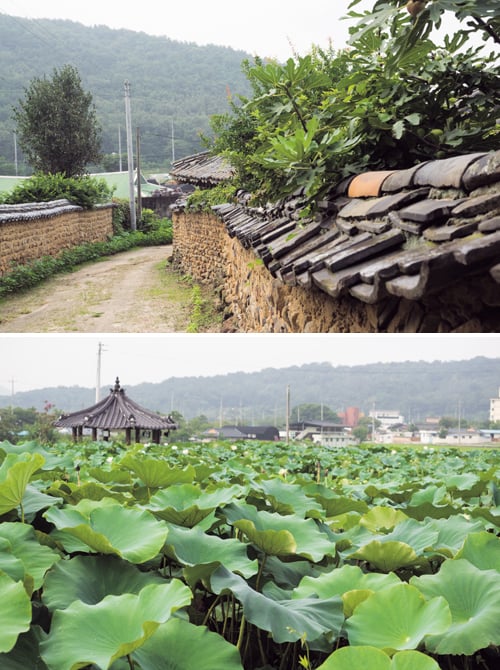  매원마을