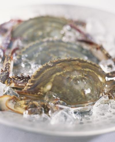 '꽃게 아가미 기생충' /사진=이미지투데이