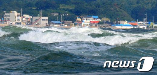 7일 오전 경북 포항시 북구 흥해읍 칠포 해수욕장 백사장으로 너울성 파도가 밀려들고 있다. /자료사진=뉴스1