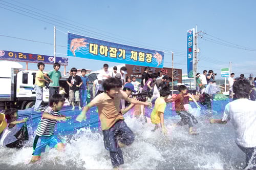 홍성 남당항 대하축제.