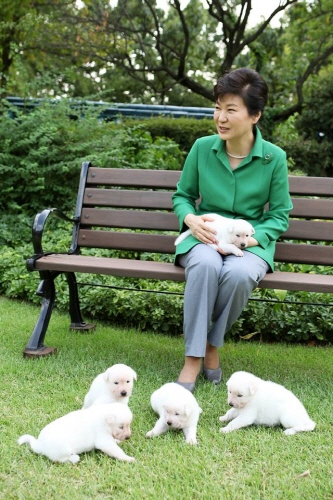 '청와대 진돗개' /사진=박근혜 대통령 페이스북