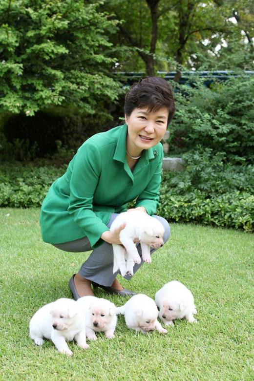 '청와대 진돗개' /사진=청와대 페이스북 캡처