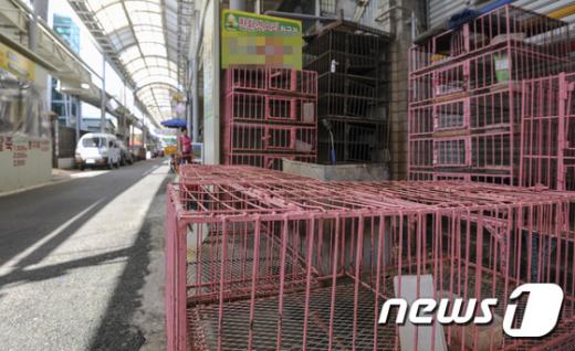21일 광주 북구 한 전통시장 가금류(오리·닭) 판매 업소가 문을 닫았다. 이날 농림축산식품부는 광주시 북구 전통시장 내 가금류 판매소에서 조류인플루엔자(AI) 항원(H5N8)이 검출됐다고 밝혔다. /자료사진=뉴스1