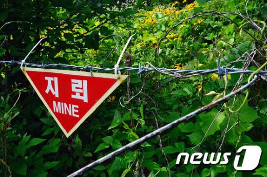 /자료사진=뉴스1