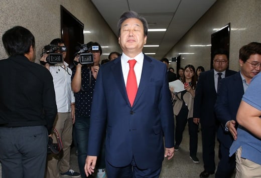 '김무성' /사진=뉴스1