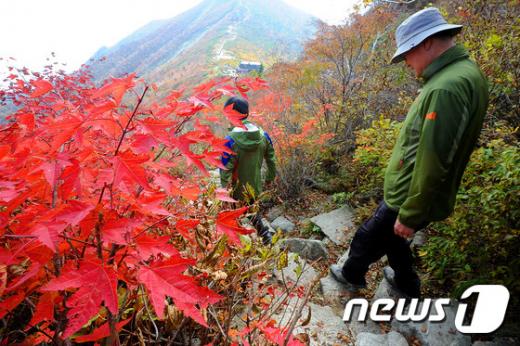 단풍 절정시기, 이달 셋째 주부터 시작. 사진제공=뉴스1