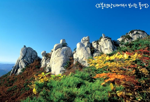 '걷기 좋은 단풍길 25선' '날씨예보' /사진=국립공원관리공단 페이스북 캡처