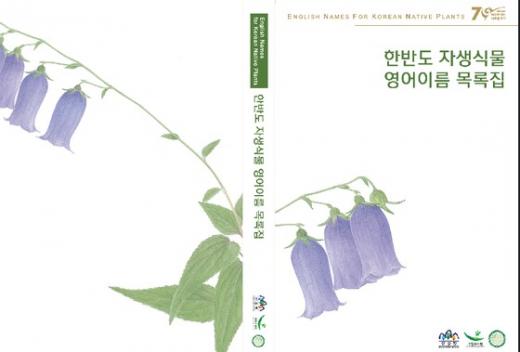 '소나무 영문' /사진=뉴스1