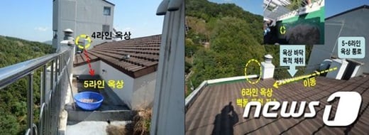 '캣맘사건' /사진=뉴스1(용인서부경찰서 제공)