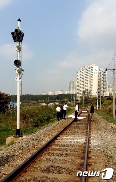 '울산 열차사고' /사진=뉴스1