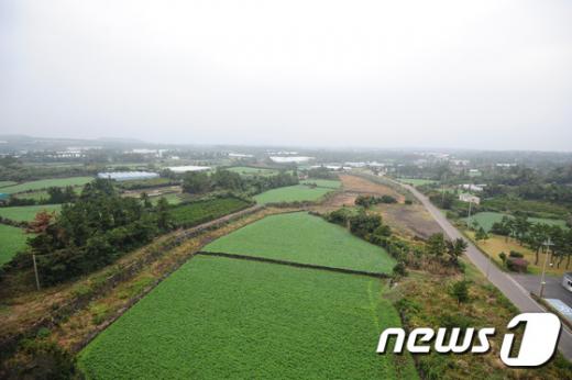 10일 제주도청에서 열린 '제주 공항인프라 확충 사전타당성 용역 최종 보고회'에서 신공항 대상지로 선정된 제주 서귀포시 성산읍 신산리 전경. /사진=뉴스1