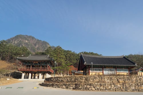 원음루(왼쪽)