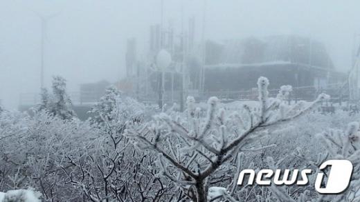지난 23일 강원 설악산 중청봉 일대에 눈꽃이 장관을 이뤄 설경이 눈 앞에 펼쳐지고 있다. /자료사진=뉴스1DB