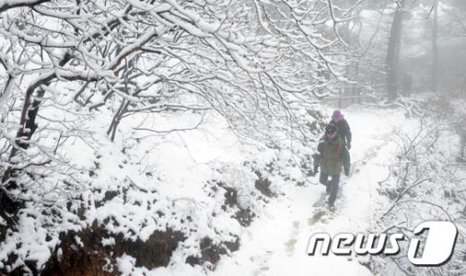 서울에 첫눈이 내린 25일 북한산에서 등산객들이 산행을 하며 겨울 정취를 만끽하고 있다. /사진=뉴스1 김명섭 기자