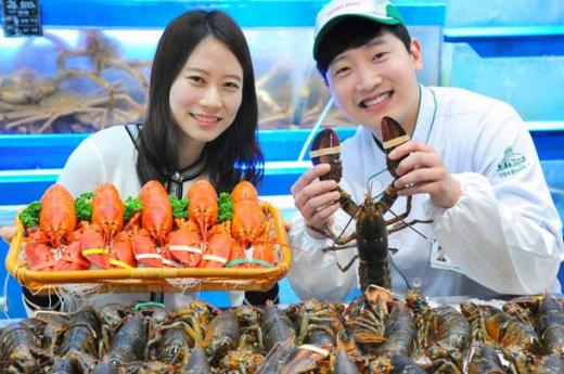 홈플러스, 23일까지 랍스터 1만원대에 판매