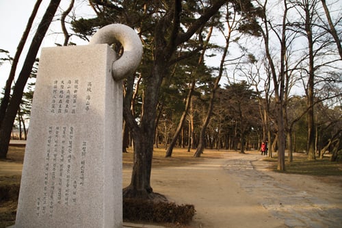 허난설헌 생가 소나무 산책로
