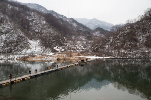 숲으로다리 가는길
