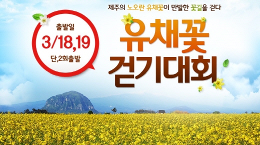 웹투어, 서귀포 유채꽃 국제걷기대회 상품 출시