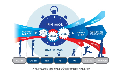 처음 1000일 중요성/사진= Nestlé Korea ‘The first 1000 day, Programming your future health’ 