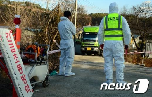 충남 공주시에서 구제역 의심신고가 접수된 지난 17일 공주시 탄천면에 소재한 돼지사육농가에서 방역당국 관계자들이 현장을 통제, 소독작업을 하고 있다. /사진=뉴스1 @머니위크MNB, 식품 유통 · 프랜차이즈 외식 & 창업의 모든 것