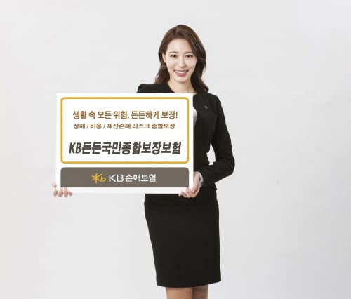 /사진=KB손해보험