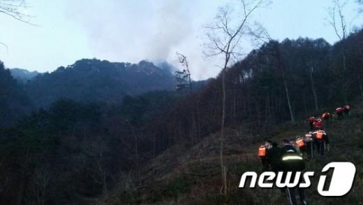 지난 2일 새벽 소백산 국립공원 구역에 발생한 산불을 진화하기 위해 소방대원들이 출동하고 있다. /사진=뉴스1