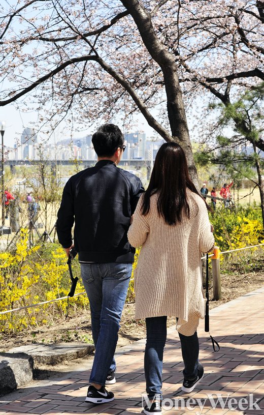 [MW사진] 여의도 봄꽃 축제 시작, 연인과 함께 걷는 벚꽃길