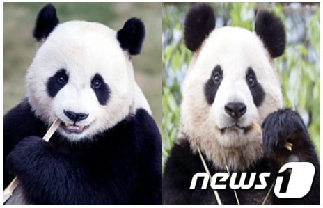 /자료사진=뉴스1