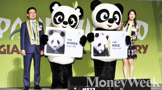 [MW사진] 에버랜드 새가족 '아이바오-러바오'를 소개합니다