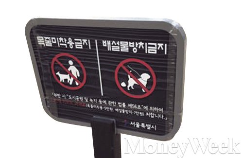 /머니위크 DB
