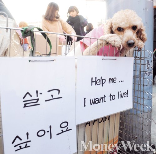 /사진=머니위크DB