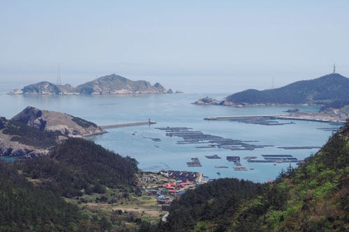 흑산도아가씨 노래비에서 보이는 흑산항 전망