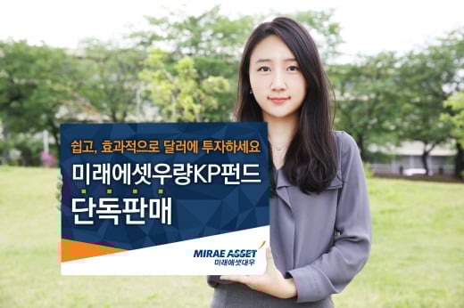 [부활하는 증시 상품] 효과적인 달러투자는 '이것'