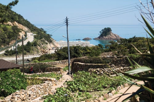 사리마을 풍경