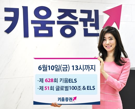 키움증권 ELS 2종 출시. /사진=머니위크(키움증권 제공)