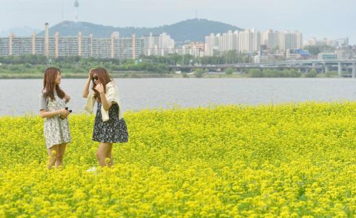 주말 나들이 전 꼭 체크하세요… 전국 '여름꽃축제' 일정