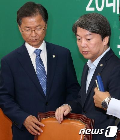 국민의당 안철수·천정배 공동대표가 오늘(29일) 오전 동반사퇴했다. /사진=뉴스1