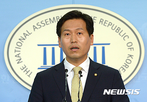 국민의당 손금주 대변인. /자료사진=뉴시스