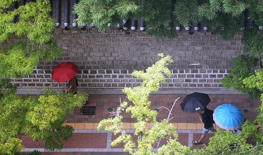 내일날씨. /사진= 오대일 뉴스1 기자