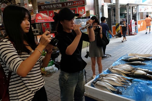 안동 구시장 취재중인 중국파워미디어