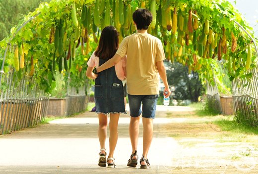 [머니S포토] 가을의 시작 처서, 찜통더위 계속 이어진다