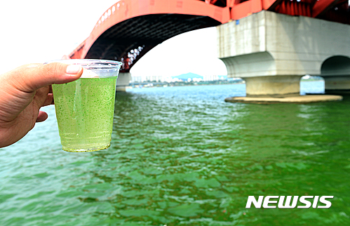 녹조제거선. 지난 17일 오후 서울 영등포구 인근 한강이 녹조현상으로 초록빛을 띄고 있다. /자료사진=뉴시스
