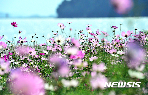 추분 오늘날씨 부산날씨. /자료사진=뉴시스