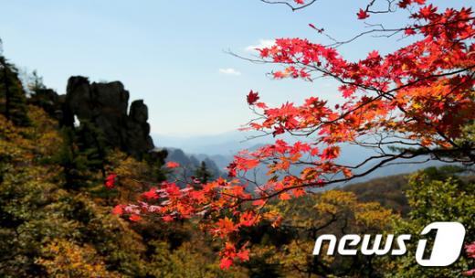 걷기좋은 단풍길10선. /자료사진=뉴스1