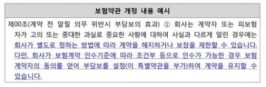 /제공=금융감독원