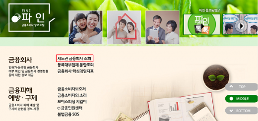 '파인' 홈페이지에서 '제도권 금융회사 조회'가 가능하다. /사진=금융감독원 '파인' 홈페이지