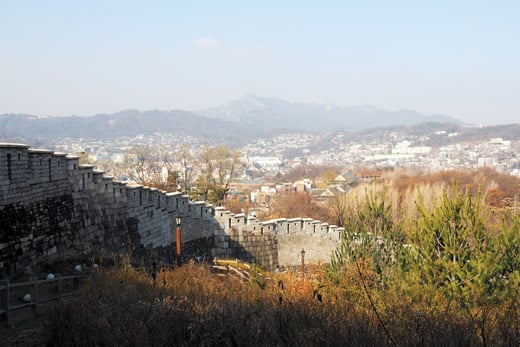 낙산성곽. /사진=서대웅 기자